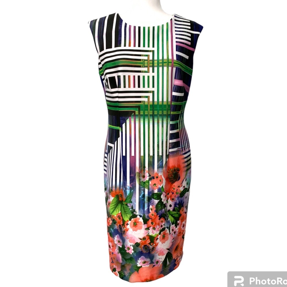 Madison Leigh Sheath Dress ~ Size 10 Floral Striped Multicolored Sleeveless